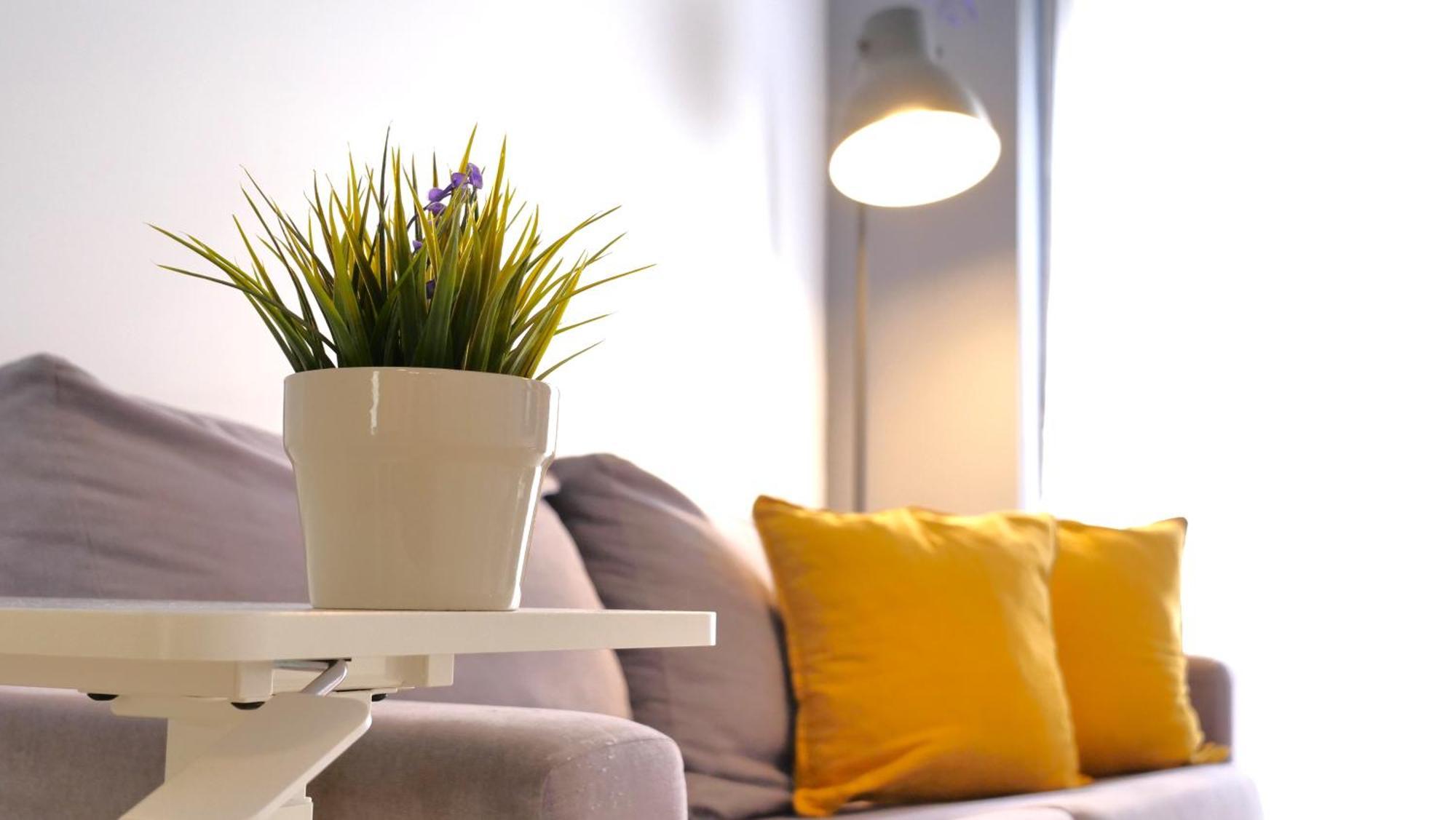 Myflats Old Corner Apartment Аликанте Екстериор снимка